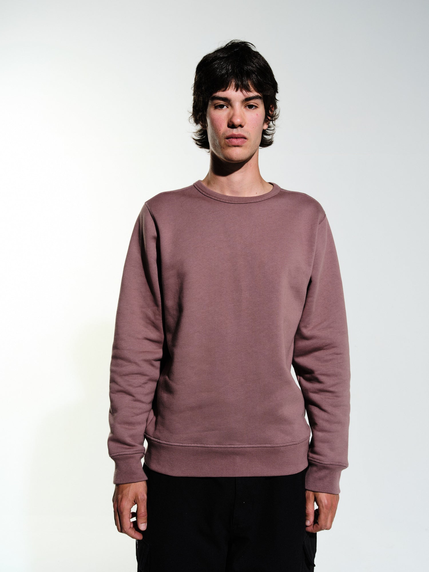 Pop Logo Crewneck Sweat Twilight Mauve