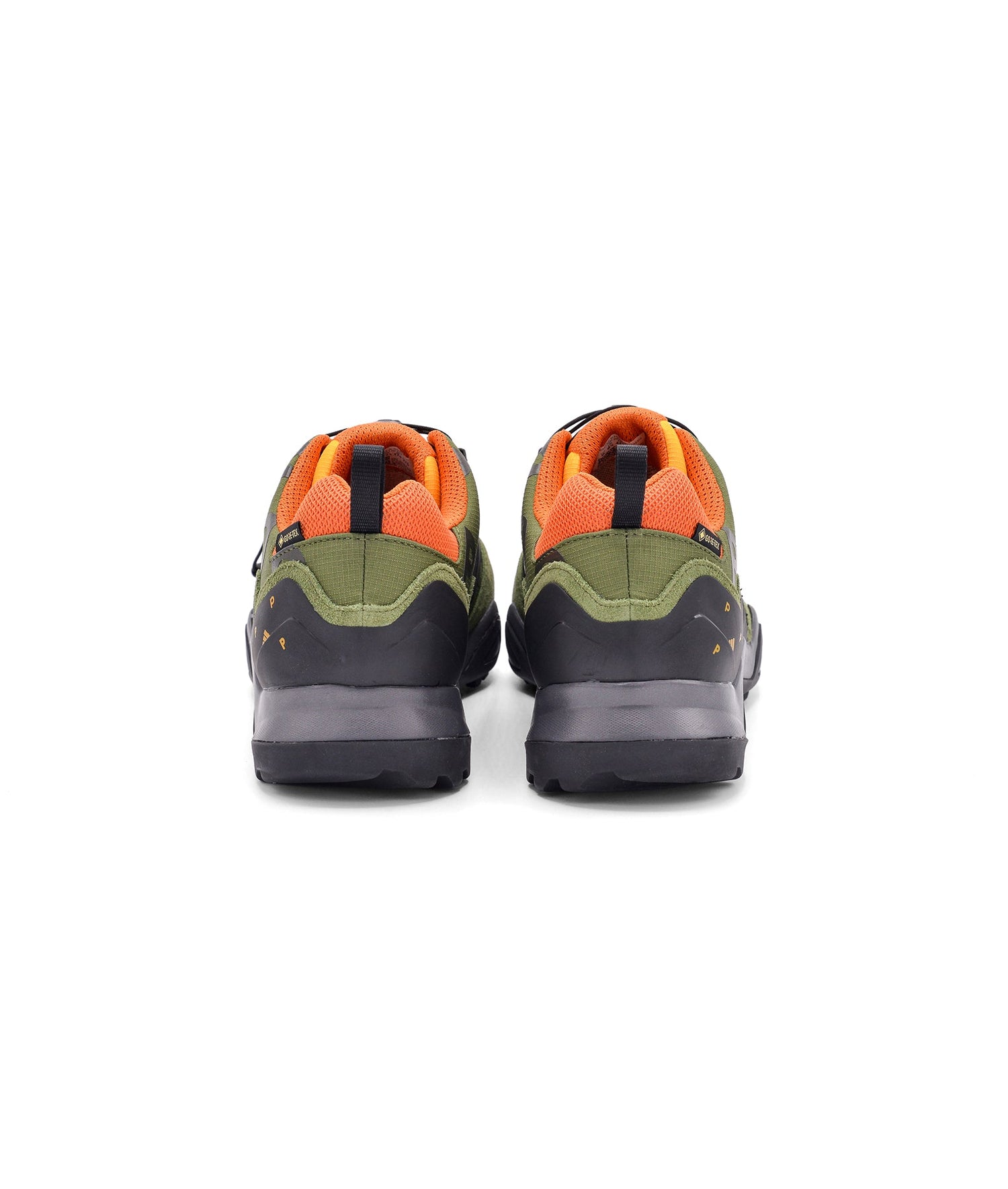 Pop/Adidas Terrex Swift R2 GTX