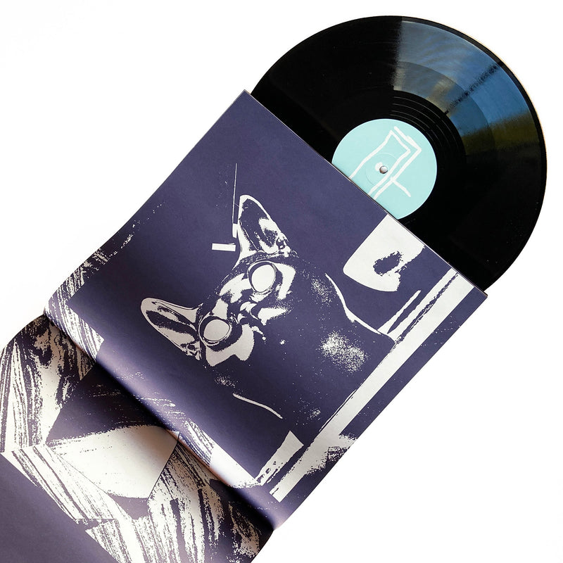 SAFE-TRIP.ORG/POP 12'' Vinyl